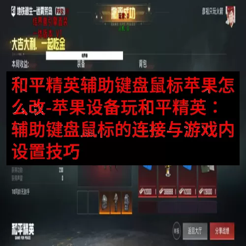 和平精英辅助键盘鼠标苹果怎么改-苹果设备玩和平精英：辅助键盘