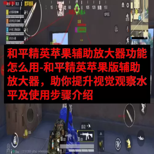 和平精英苹果辅助放大器功能怎么用-和平精英苹果版辅助放大器，